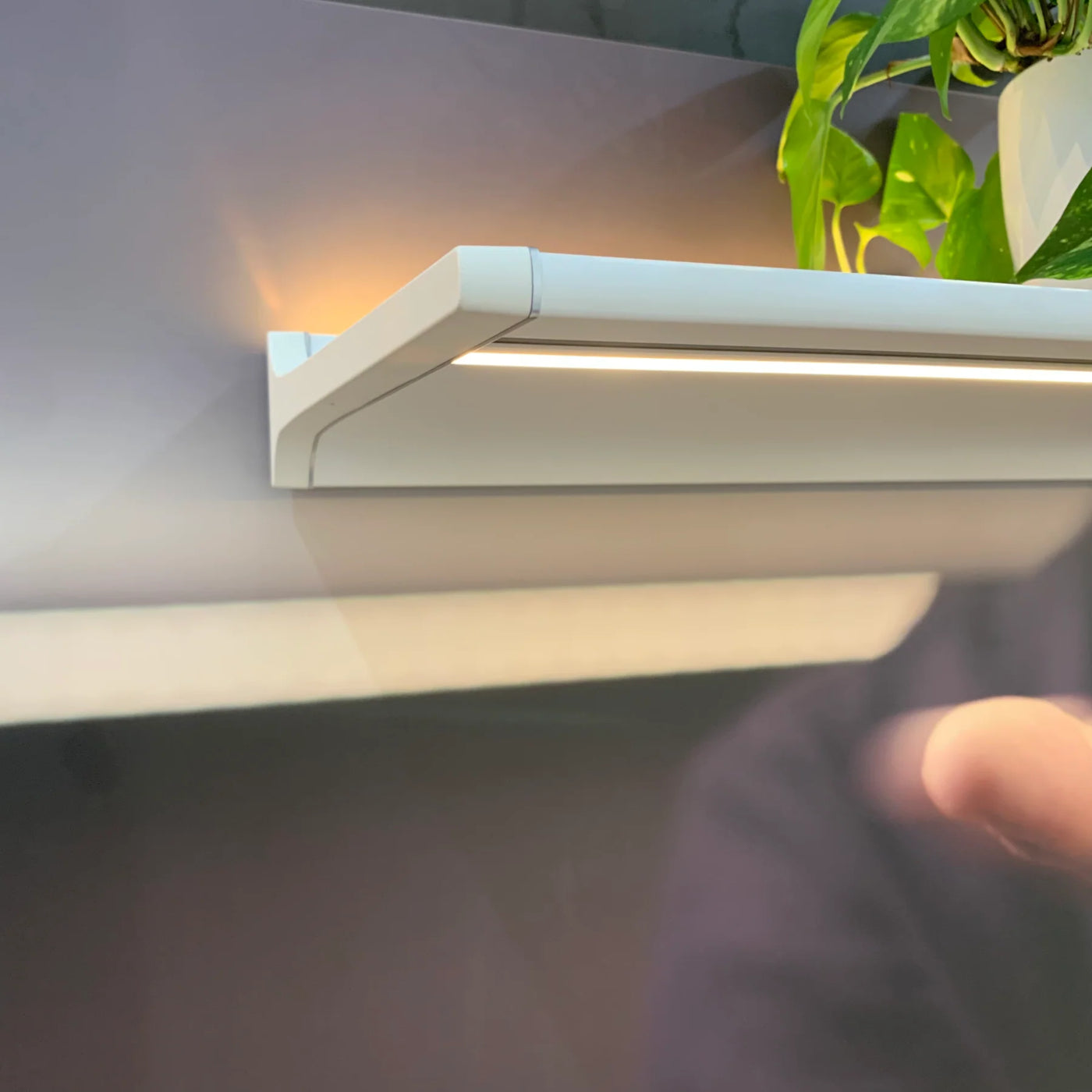 Novy Shelf Wit