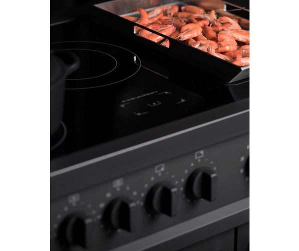 Steel Enfasi 100 Inductie Fornuis EQ10FF-5FIW NF 2025 model